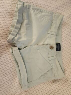 American Eagle Outfitters Mint Green Cotton Shorts